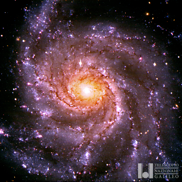 M101